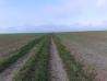 20220106_124955.jpg